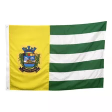 Bandeira De Aparecida De Goiânia 2panos (1,28x0,90) Oficial