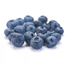 Blueberry Southern Mirtilo De Clima Quente Sementes P/ Mudas