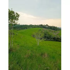 Encantadora Finca Ubicada En La Vereda Las Acacias, Via Milan