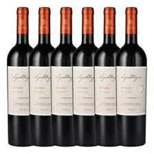 6x Vino Apaltagua Gran Reserva Envero Carménère