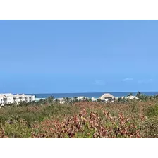 Vendo Apartamento Tipo Penthouses Con Vista Al Lago Y Al Mar En Punta Cana, República Dominicana