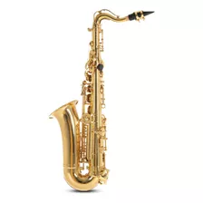 Pure Gewa Saxofón Alto Infantil En Mib Roy Benson As-201