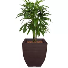 1 Vaso Terra Orgânico Npk Vegetal Adubo Jardim Horta T 45x35