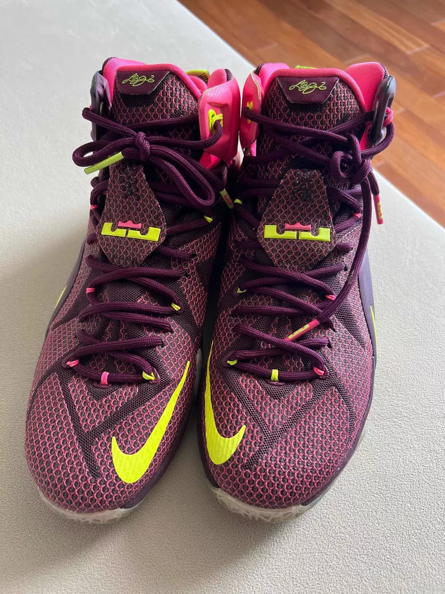 Nike Lebron