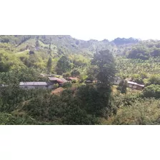 Vendo Finca Con Excelente Terreno Para Siembra