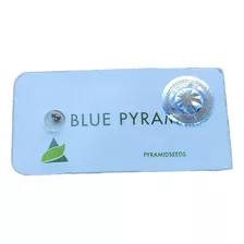 Semilla De Colección Blue Pyramid X1 - Pyramid Seed