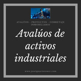 Perito / Avaluo / Sudebip / Activos / Fondo De Comercio