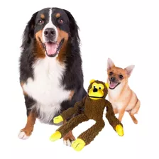 Brinquedo P/ Cães Baw Waw Macaco, Diversão Para Seu Cãozinho