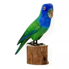 Escultura Madeira: Pássaro Periquito Cabeça Azul (2050)