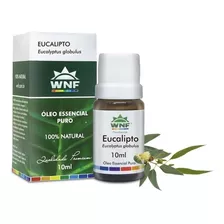 Óleo Essencial De Eucalipto - 100% Puro E Natural - 10ml - Wnf