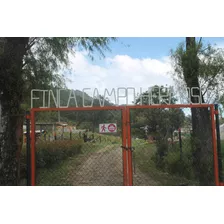 Finca De 7 Fanegadas Con 3 Casas Cultivos De Pimentón Etc