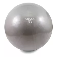 Bola Suiça Bobath Gym Ball Pilates Fisioterapia 65cm C/bomba