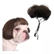 Peruca Pet Cabelo Curto Liso Estilo Chanel Nerd Cães Gatos