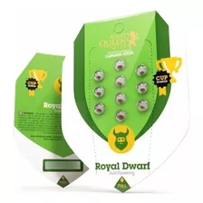 Semillas De Colección Autoflorecientes Royal Dwarf X3