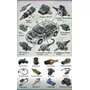 Primera imagen para búsqueda de scanner automotriz meriva