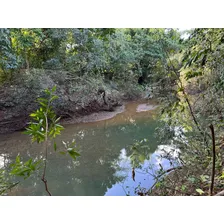 Finca De 147 Tareas De Tierra Con Hermoso Río