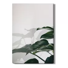 Quadro Folhas De Planta Fotografia Sombra Canvas 60x40cm