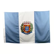 Bandeira Do Município Salto - Sp 2p Oficial (1,28x 0,90)