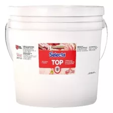 Recheio Selecta Top Abacaxi Balde 4kg