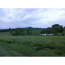 Magnífico Rancho Ganadero En Explotación En Veracruz
