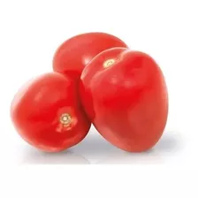 Sementes De Tomate Hibrida Saladete Ravena