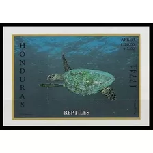 Fauna - Reptiles - Tortuga - Honduras - Hojita Block Mint