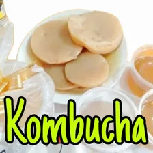 Scoby Para Kombucha Com Manual De Cultivo