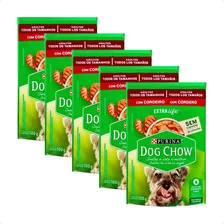 5 Ração Úmida Dog Chow Sabor Cordeiro Para Cães Adultos 100g