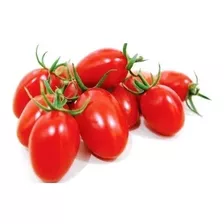 Sementes De Tomate Grape Híbrido Red Sugar F1 20mg - Topseed