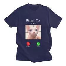 Estampado De Gatos De Bingus Cat Is Calling Memes, A La Moda