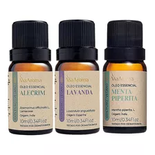 Óleo Essencial Lavanda + Alecrim + Menta Piperita Via Aroma