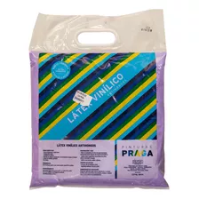 Pintura En Bolsa Lila Praga Mimbral