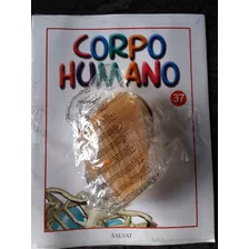 Corpo Humano Fasciculo 37 - Novo Lacrado Com A Peça - Salvat