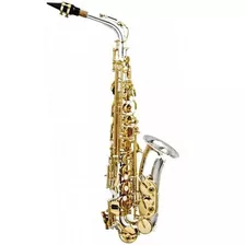 Sax Alto Hoyden Prata/laqueado - Has 25pg (mib)