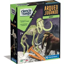 Juguete Fósil De Esqueleto Dinosaurio Stegosaurus Niños