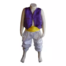 Fantasia Aladdin Infantil Conjunto Calça Colete Faixa 