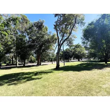 Alquiler Frente Lago Del Parque Rodó Monoambiente Gonzalo Ramírez Con Calefacción Central Y Vigila