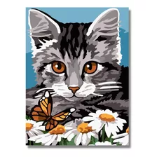 Pintura,cuadro Para Pintar Por Números Enmarcado, Gato