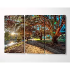 3 Quadros Em Tecido Canvas Caminho Árvores Estrada Paisagem