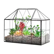 Terrario De Vidrio, Contenedor De Vidrio Plantas 22 Cm ...