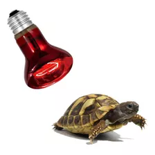 Lampara Infrarroja Calor Erizo Tortuga Reptiles Pájaros 50 W Luz Calor Infraroja