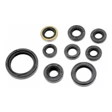 Retentor De Motor Kit Br Parts Ktm250/350 16/20