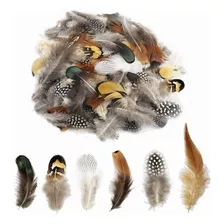 6 Tipos De Tocados De Plumas,accesorios,decoraciones 180 Pcs