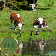 Se Vende Campo Ganadero Turistico En Treinta Y Tres (uruguay)