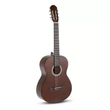 Guitarra Clásica Gewa Pure Ps510150 Tamaño 4/4 Honey Brown