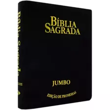 Bíblia Sagrada Rc Letra Jumbo Edição De Promessas Capa Zíper Preta, De #n/a. Série 1 Editora Ebenézer / King's Cross, Capa Mole, Edição 1 Em Português, 2022