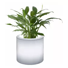 Maceta Led Cilindirca Plastica 48x48 Plastica + Lampara 