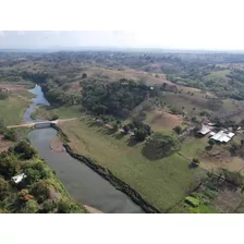 Finca De 11,300 Tareas De Venta En Hato Mayor 