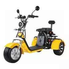 Bicicleta De Tres Ruedas 65km/h 20ah 3000w Moto