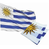 Bandera De Uruguay Oficial 90 X 150 Cm